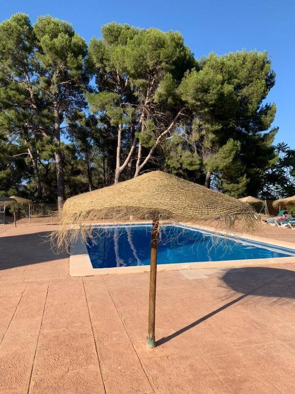 Masia De San Juan - Castillo Con Piscina En Plena Sierra Calderona Segorbe Kültér fotó